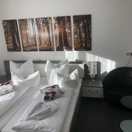 Gaestehaus Birke Pensionat 3*