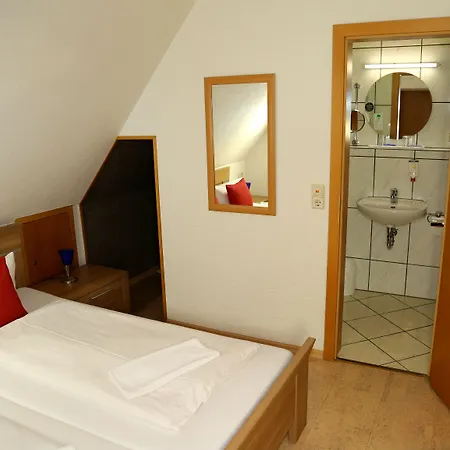 Pensionat Gaestehaus Birke Titisee-Neustadt