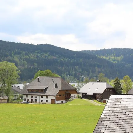 Gaestehaus Birke