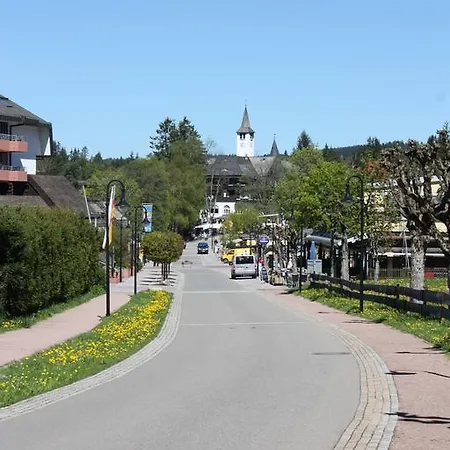 Pensionat Gaestehaus Birke Titisee-Neustadt
