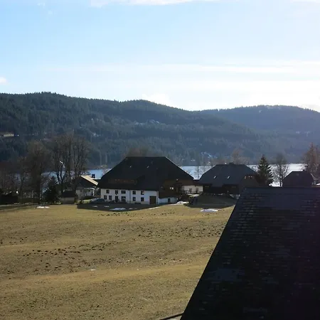 Pensionat Gaestehaus Birke Titisee-Neustadt