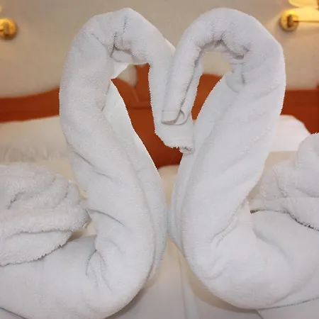 Gaestehaus Birke 3* Titisee-Neustadt