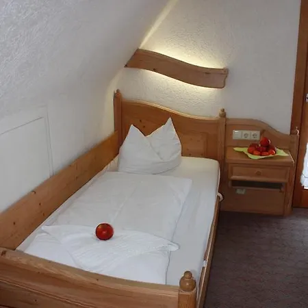 Pensionat Gaestehaus Birke Titisee-Neustadt