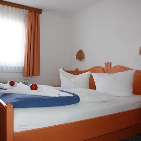 Pensionat Gaestehaus Birke Titisee-Neustadt