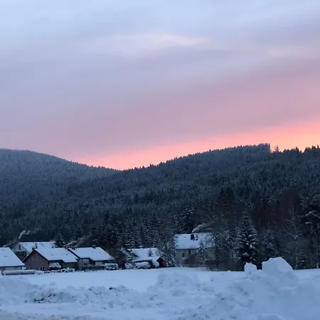 Gaestehaus Birke