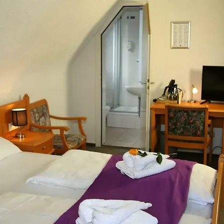 Pensionat Gaestehaus Birke Titisee-Neustadt